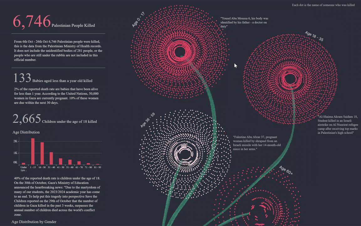 Gaza-Data-Visualisation-Soha-Elghany