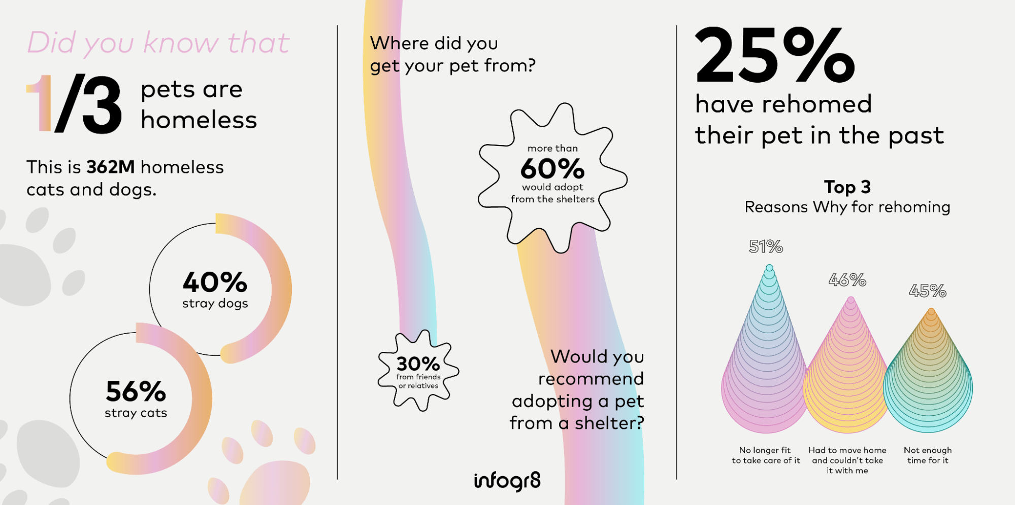 Pet homelessness data infographic Martina Zunica infogr8